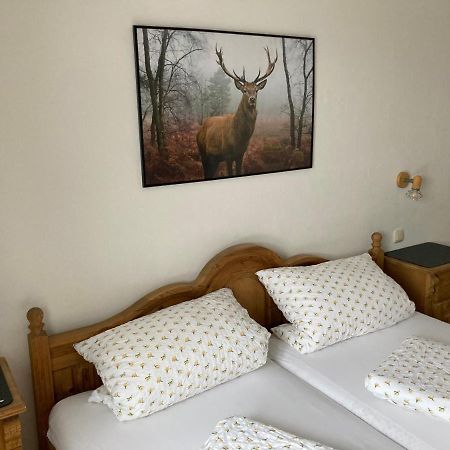 Ferienwohnung Sophia グライナウ エクステリア 写真